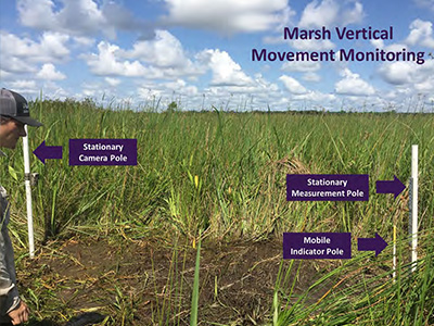 marsh