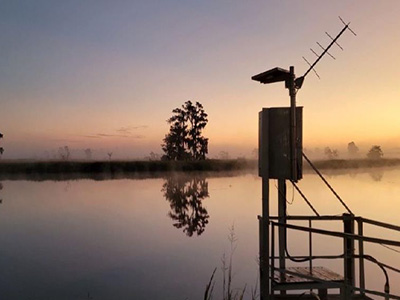 surface water quality